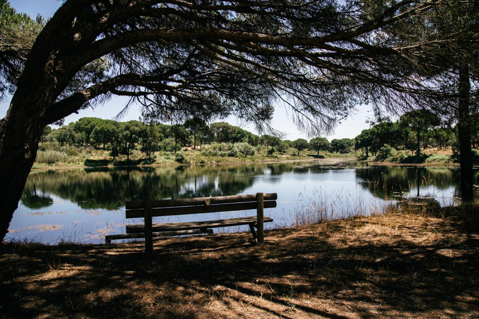 Herdade De Montalvo - Comporta Ngoại thất bức ảnh