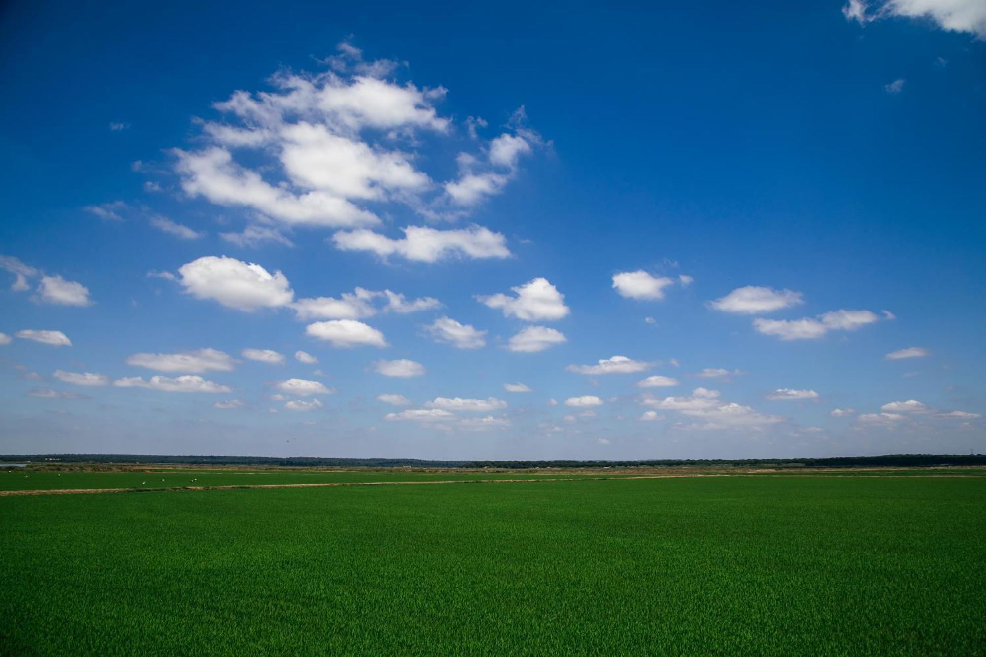Herdade De Montalvo - Comporta Ngoại thất bức ảnh