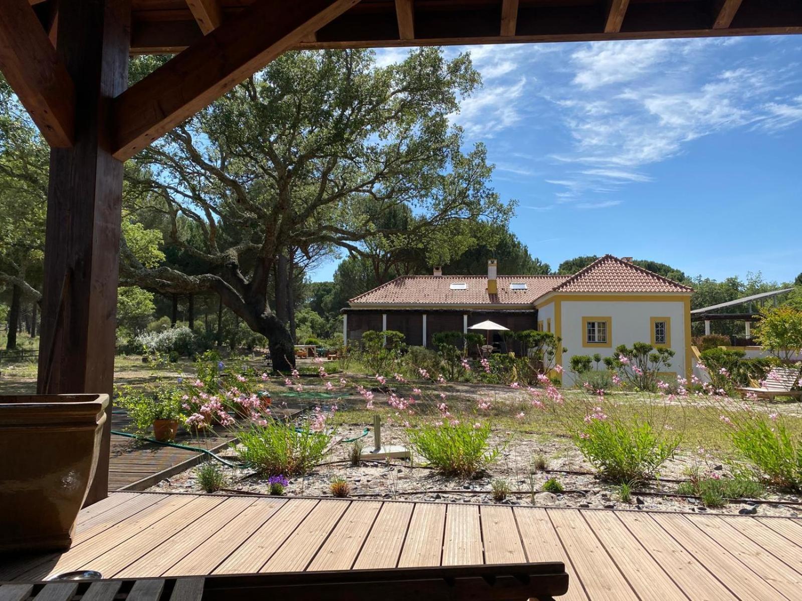 Herdade De Montalvo - Comporta Ngoại thất bức ảnh