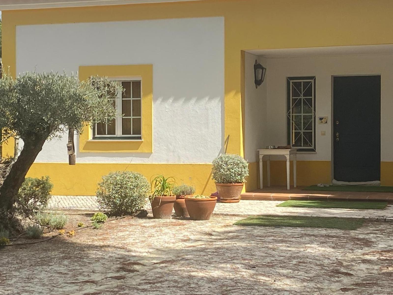 Herdade De Montalvo - Comporta Ngoại thất bức ảnh